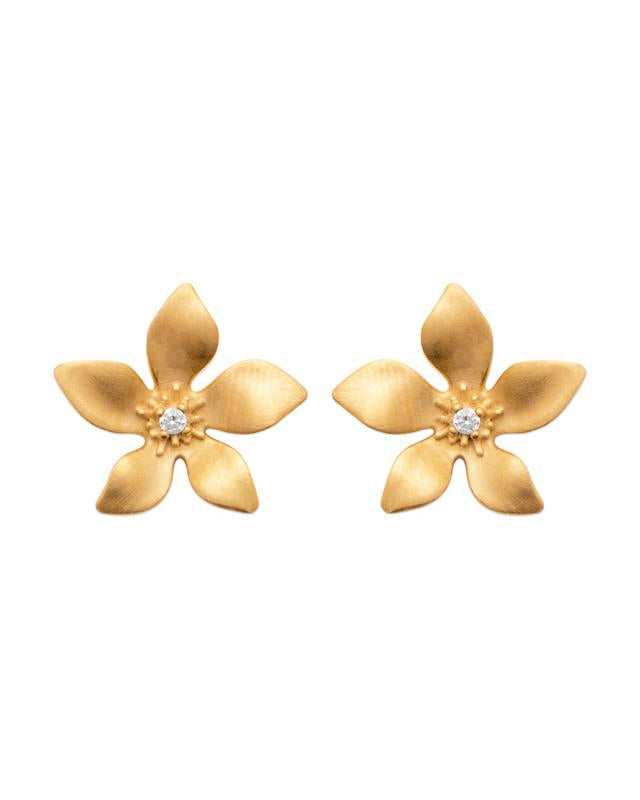 Pendientes Hawai