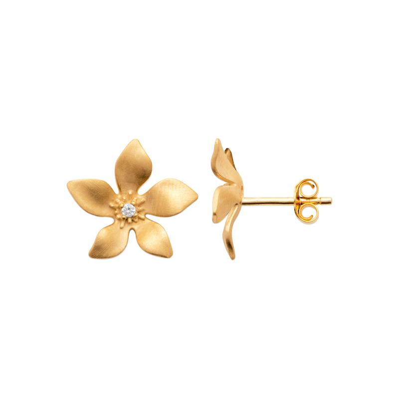 Pendientes Hawai